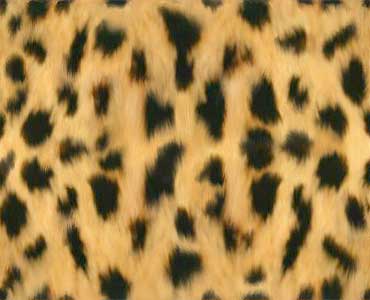 Name: animal-skin_jaguar 