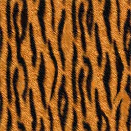 Name: brown-orange-animal-fur-skin_tiger 